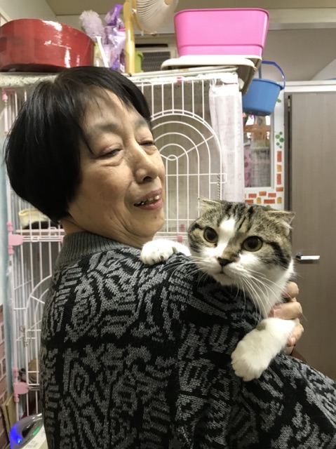 【運命の赤い糸見～つけた💓シェトランドシープドッグの次元💕、トイプードルのカール💕】